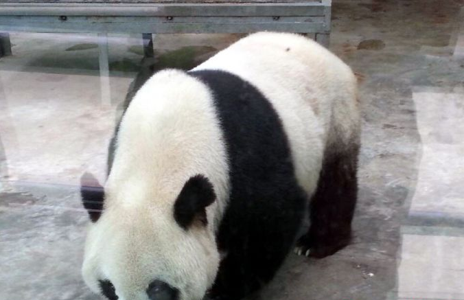 微信截图_20180821093602.png
