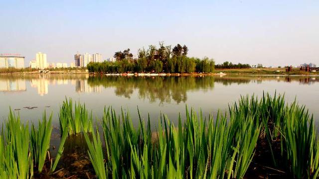 大明宫落实河湖长制 完成太液池“残阳余晖”遗址台景观提升